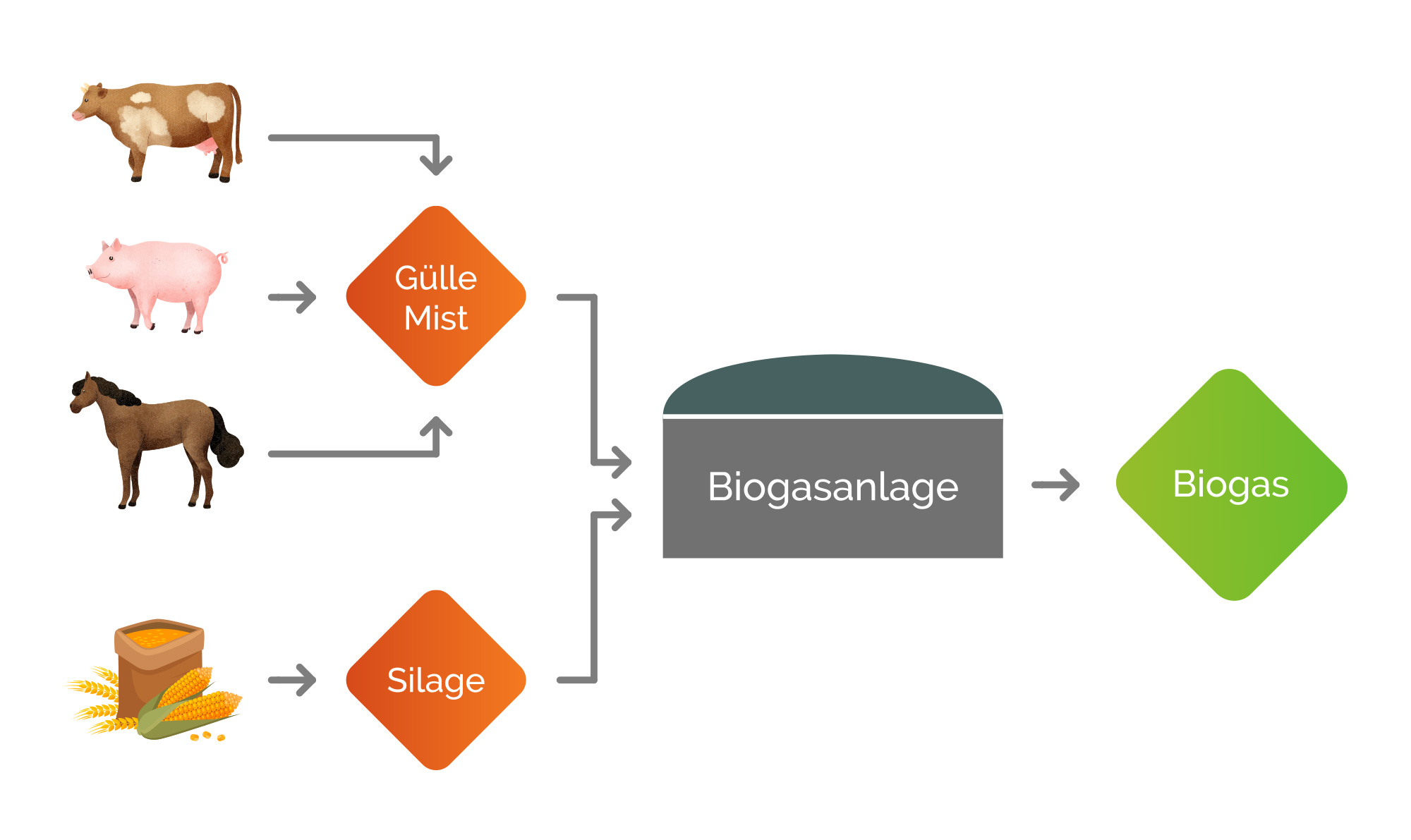 Energiegenossenschaft Gussenstadt eG – Grafik Biogasanlage