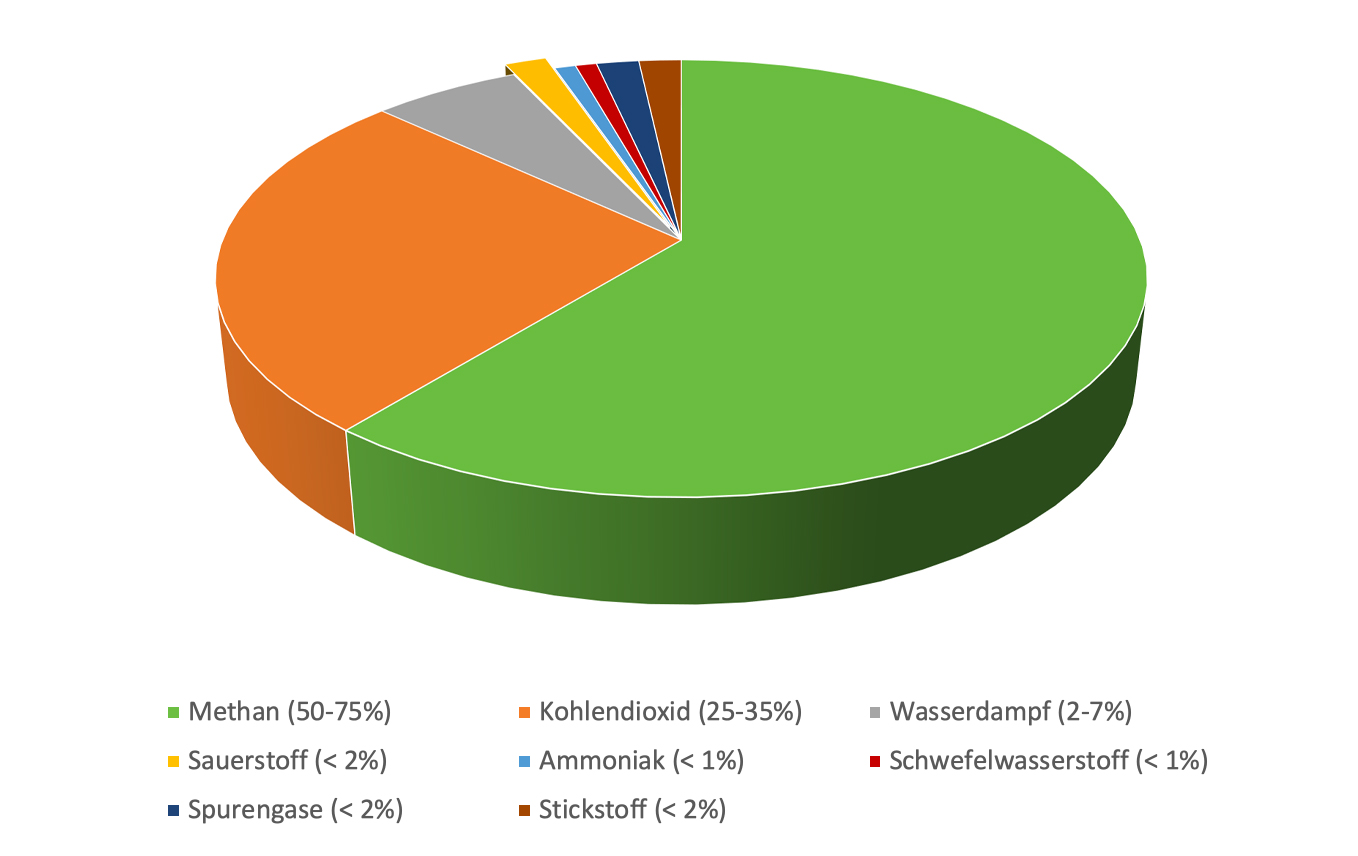 Energiegenossenschaft Gussenstadt eG – Tortendiagram Biogas