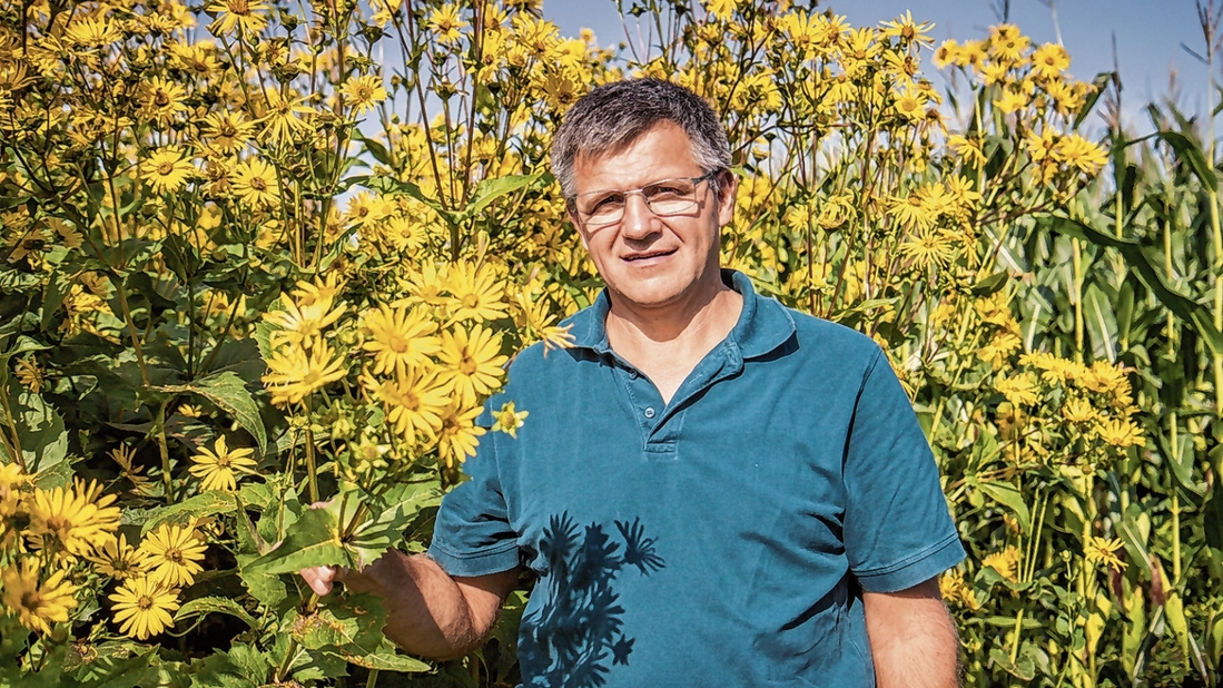 Energiegenossenschaft Gussenstadt eG – Neue Pflanze für Biogas